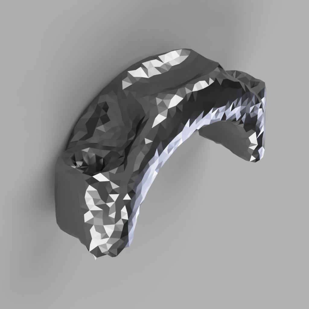 3D Scan of Rod Cap